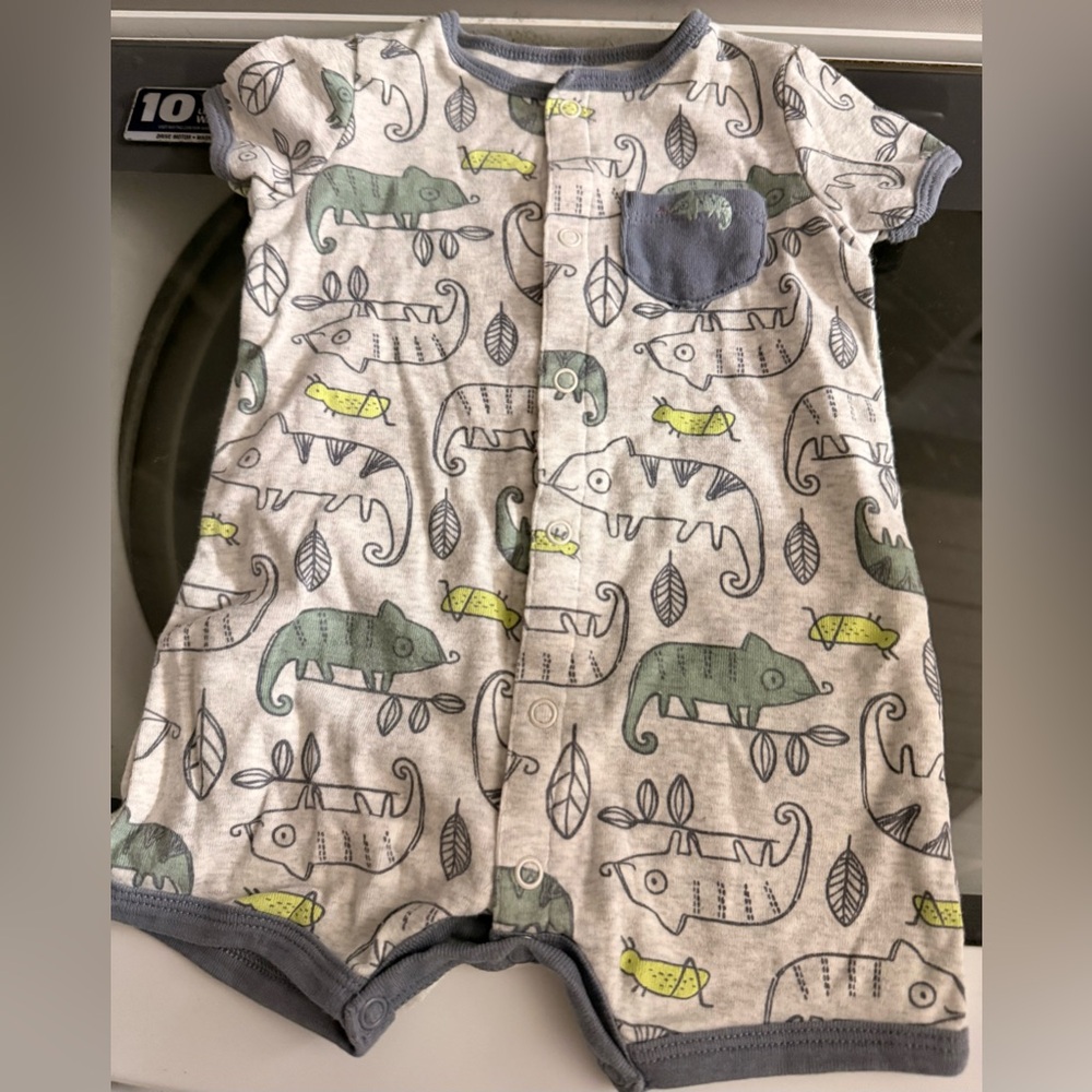 Child of Mine Gray and Green Chameleon Romper